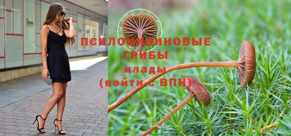 бошки Верхний Тагил