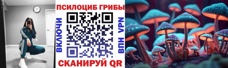 Галлюциногенные грибы мицелий  магазин    Набережные Челны 